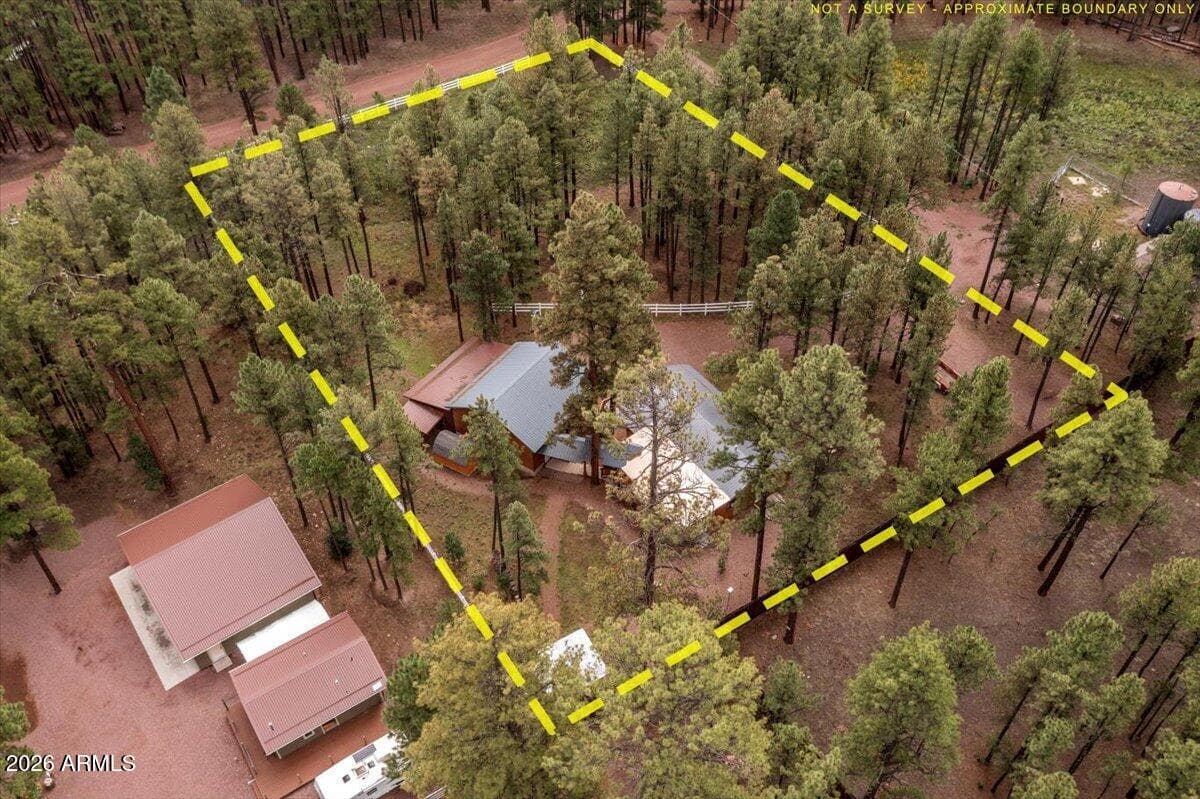 11 WHITETAIL Road, Alpine, AZ 85920 — photo 45 of 47