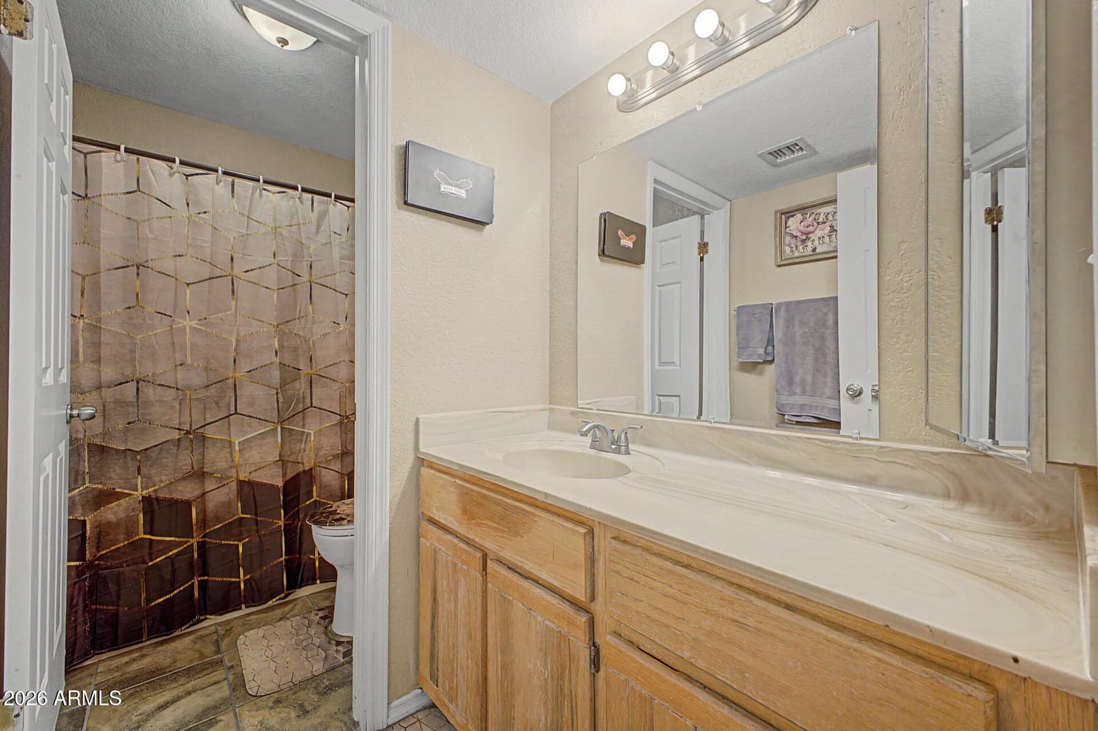 8861 N 114TH Lane, Peoria, AZ 85345 — photo 23 of 27