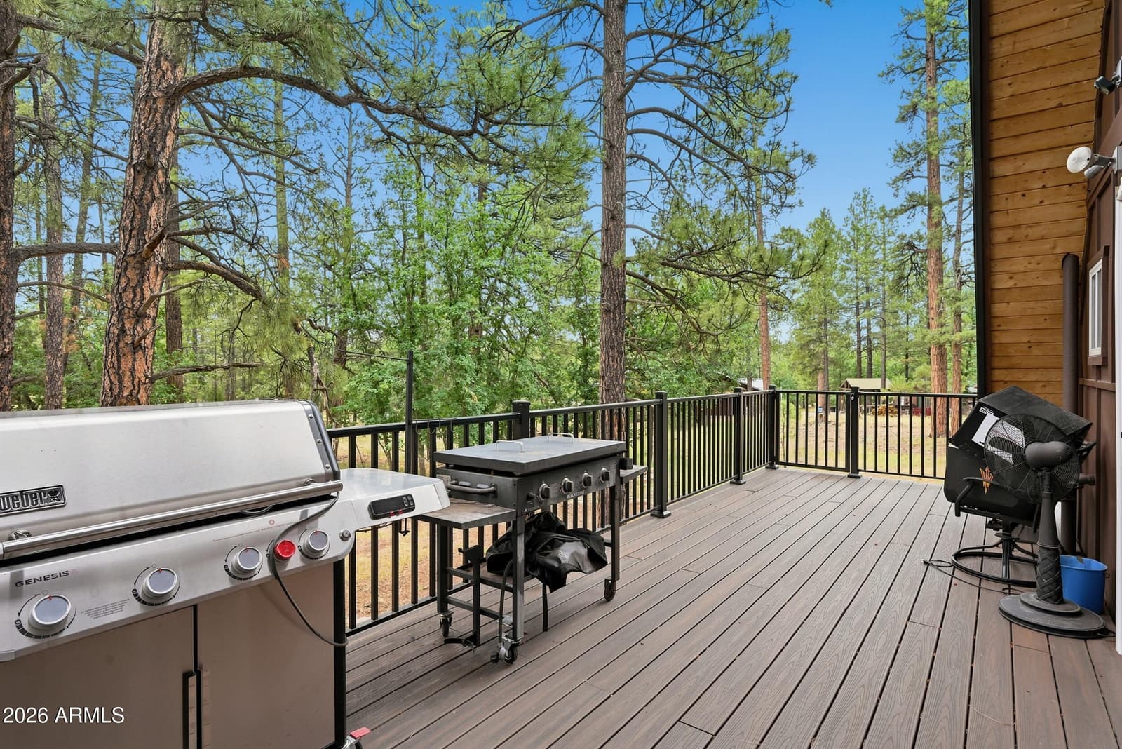 2421 W Velvet Antler Trail, Happy Jack, AZ 86024 — photo 6 of 41