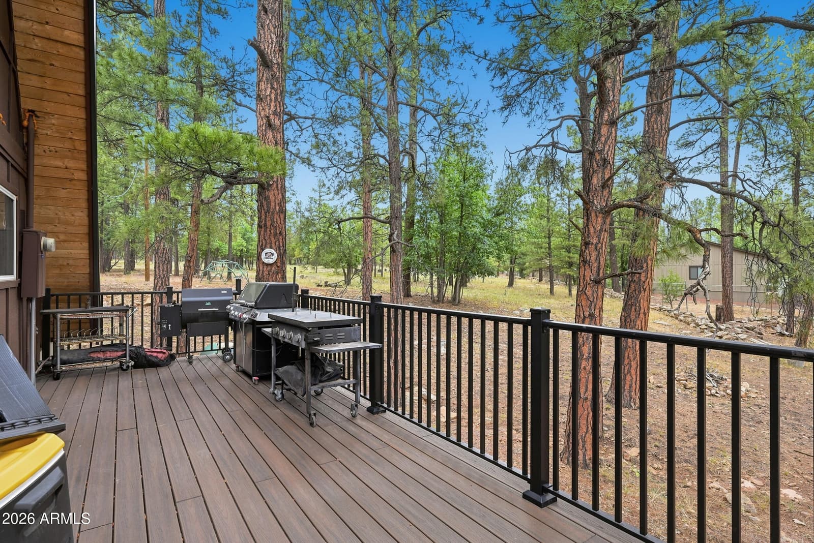 2421 W Velvet Antler Trail, Happy Jack, AZ 86024 — photo 7 of 41