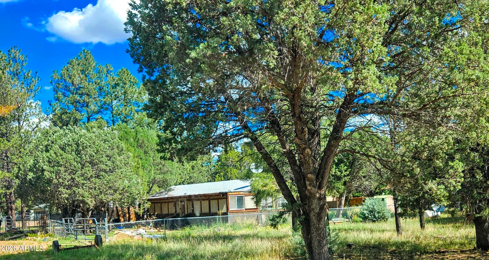 2863 PINE RIM Road, Overgaard, AZ 85933 — photo 2 of 4