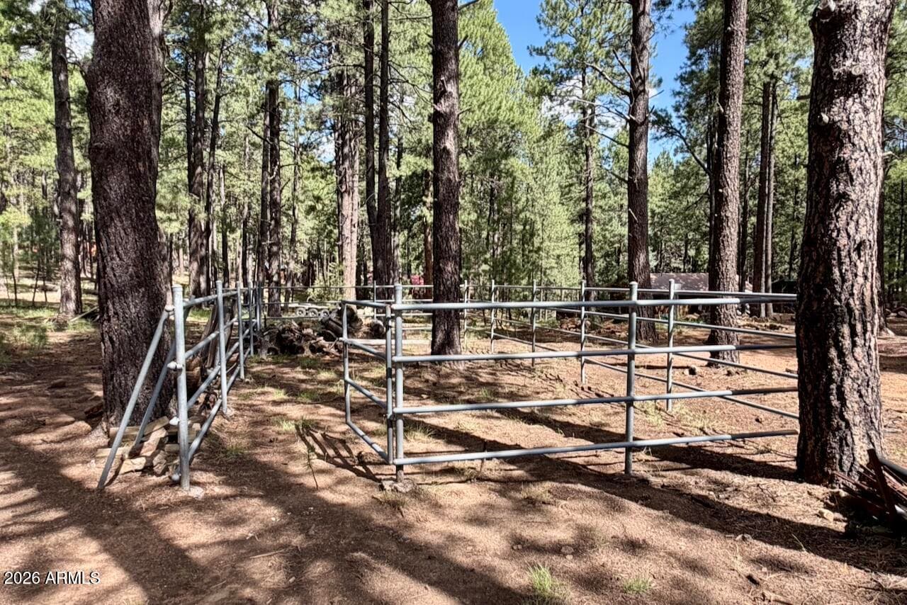 2507 MIDDLE Loop, Forest Lakes, AZ 85931 — photo 19 of 21