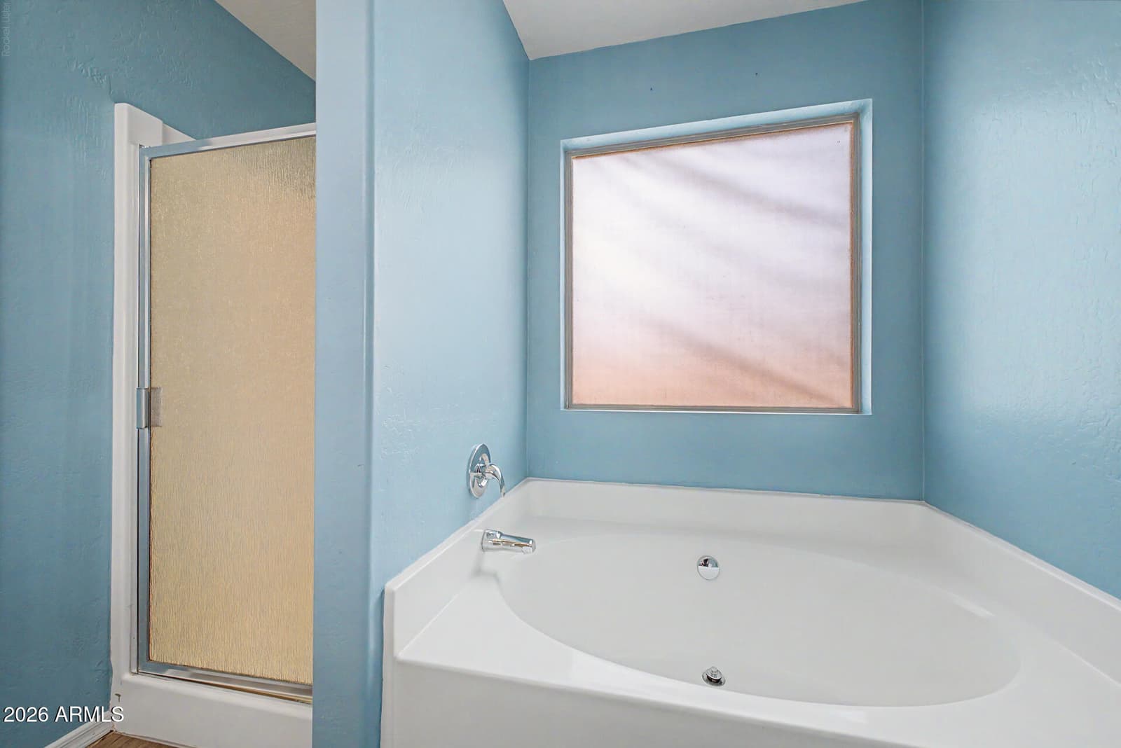 4601 N 123RD Drive, Avondale, AZ 85392 — photo 19 of 33