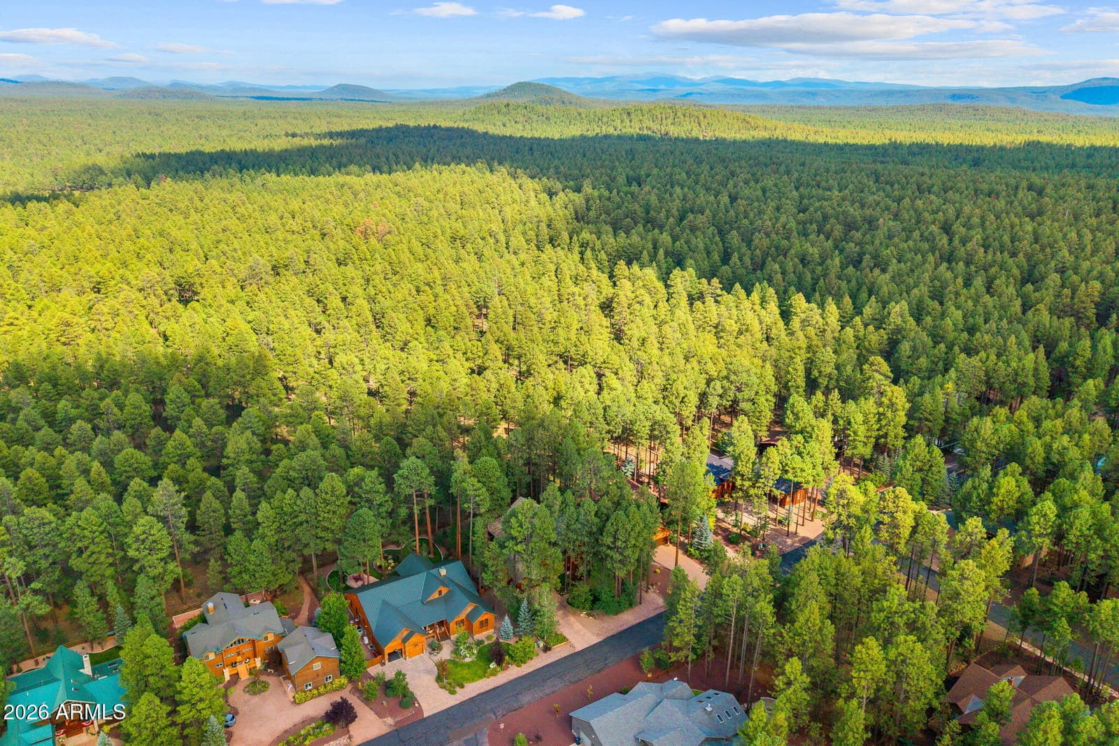 8829 Country Club Drive, Pinetop, AZ 85935 — photo 64 of 82