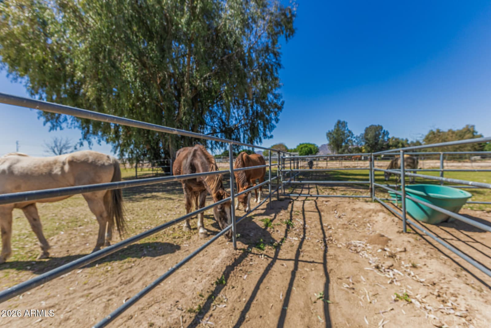 7040 N 177th Avenue, Waddell, AZ 85355 — photo 74 of 76
