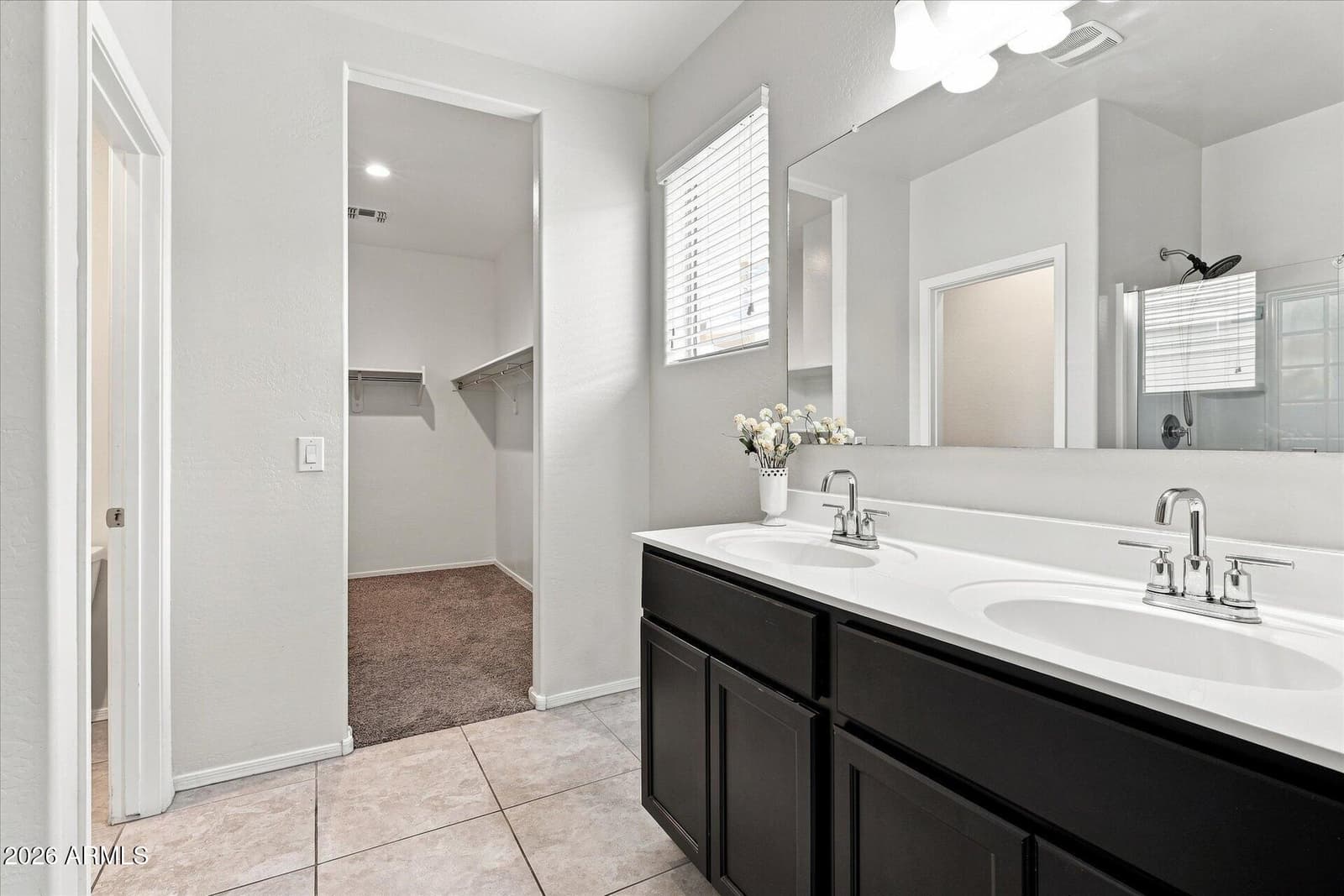 4952 E CHROMIUM Road, San Tan Valley, AZ 85143 — photo 12 of 25