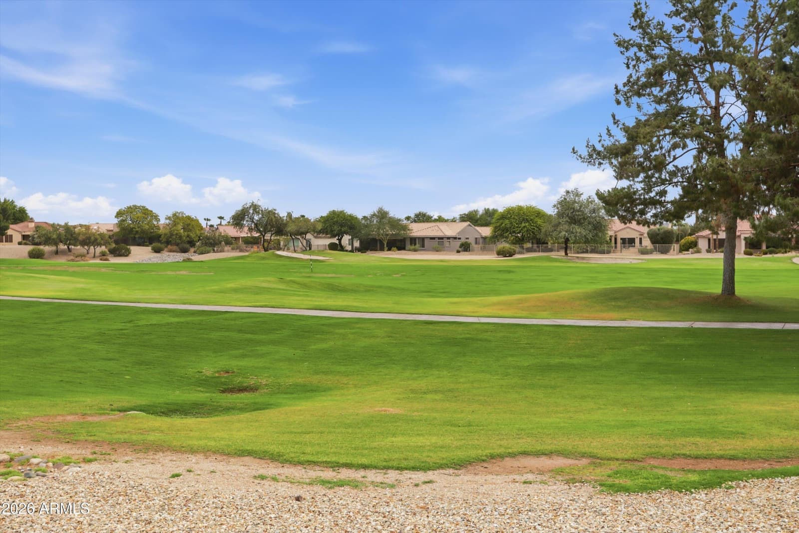 18461 N Hibiscus Lane, Surprise, AZ 85374 — photo 46 of 64