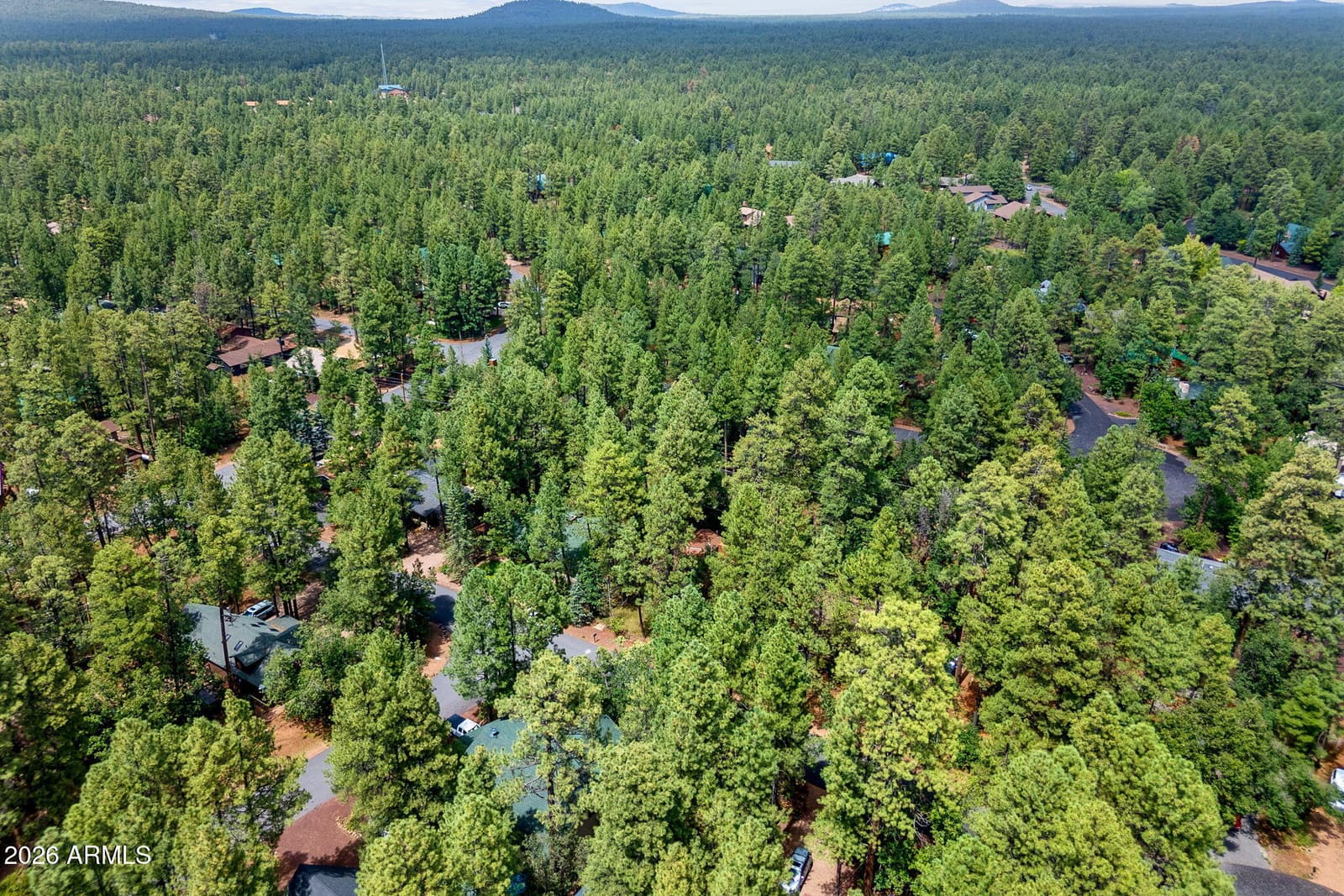 6048 PITCH FORK Lane, Pinetop, AZ 85935 — photo 26 of 31