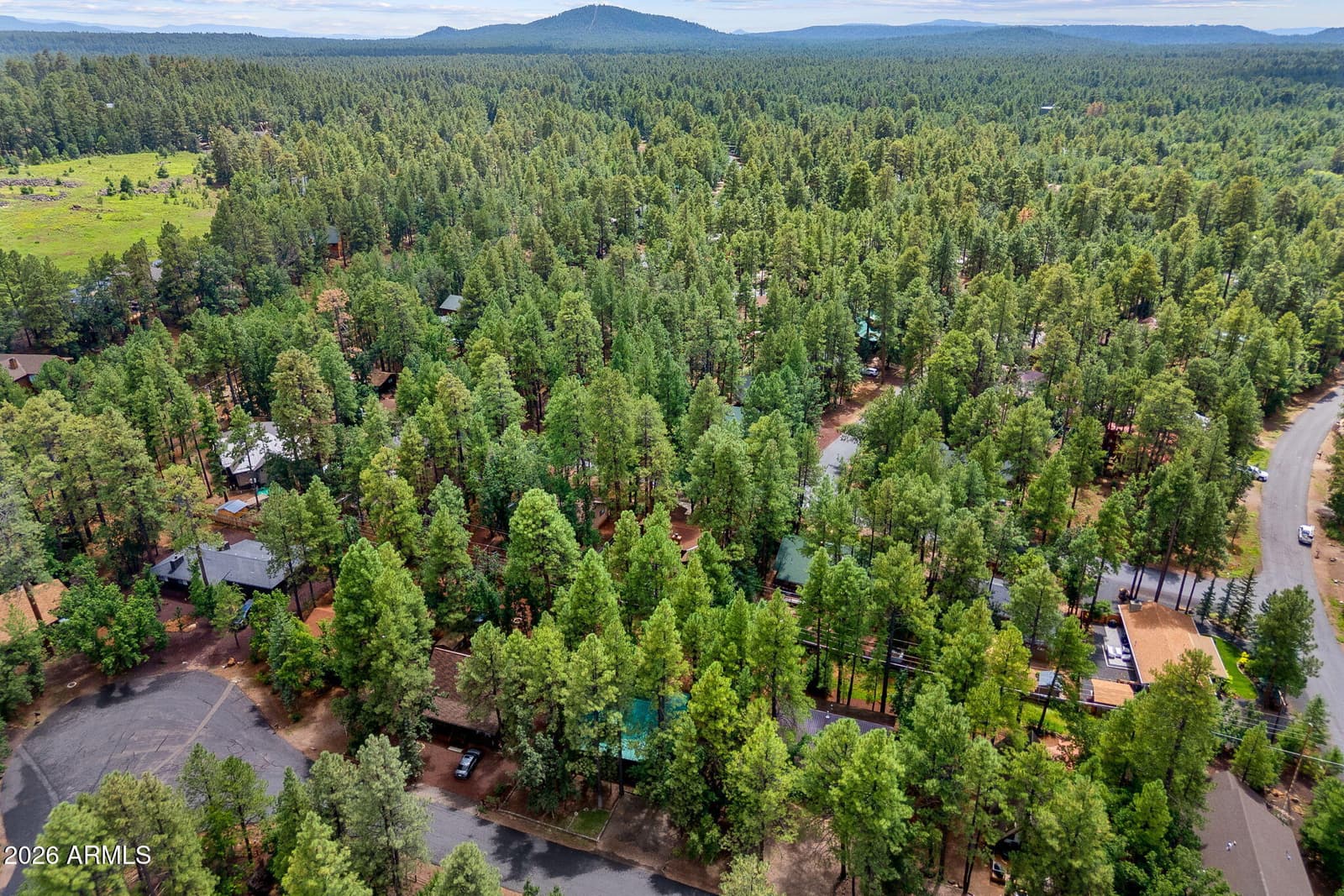 6048 PITCH FORK Lane, Pinetop, AZ 85935 — photo 28 of 31