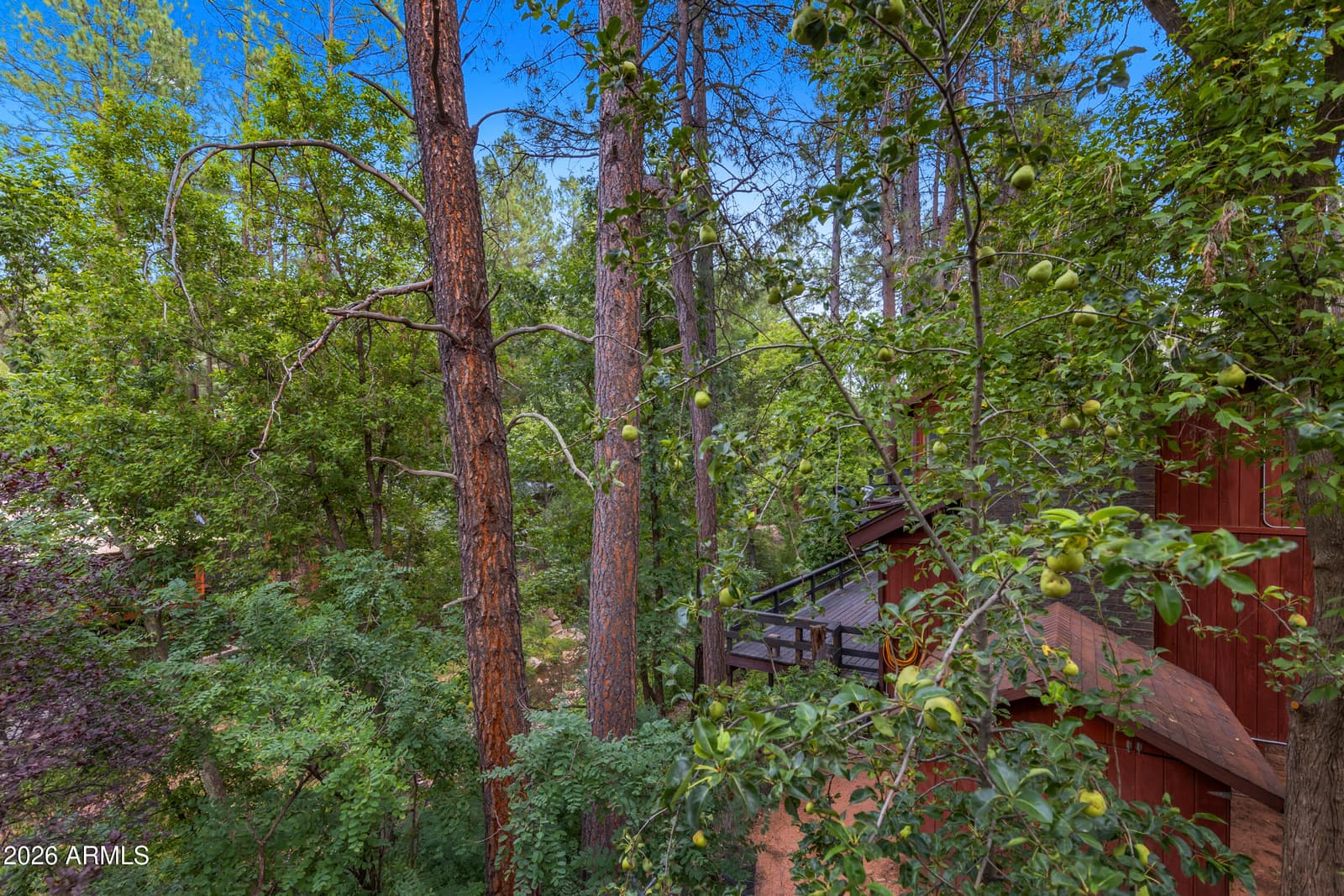 695 S MEADOW Lane, Payson, AZ 85541 — photo 31 of 48