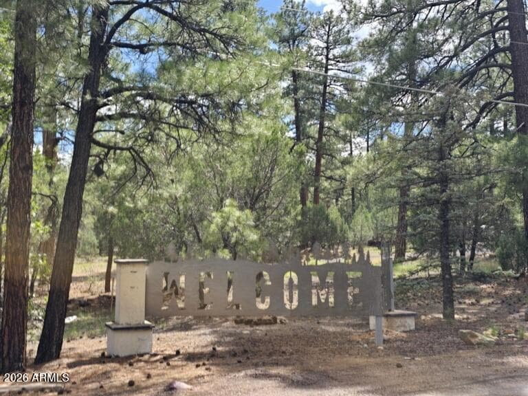 2800 S WHITE MOUNTAIN Road 120, Show Low, AZ 85901 — photo 1 of 16