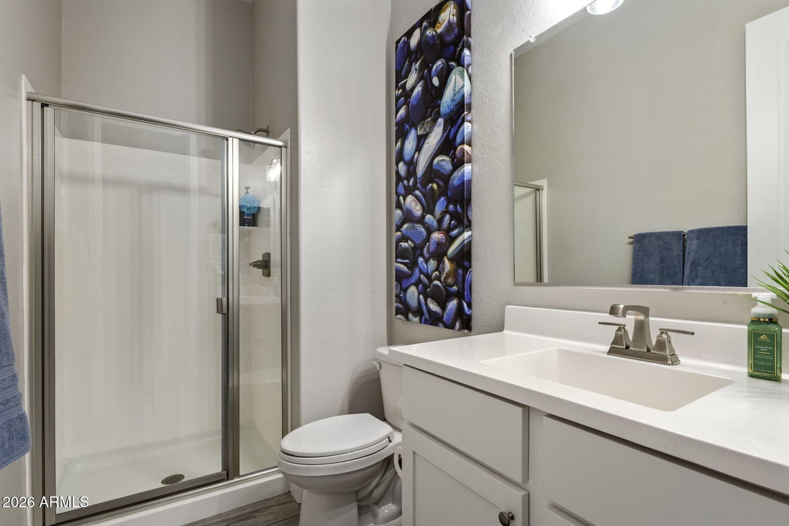 21132 E SPARROW Drive, Queen Creek, AZ 85142 — photo 25 of 42
