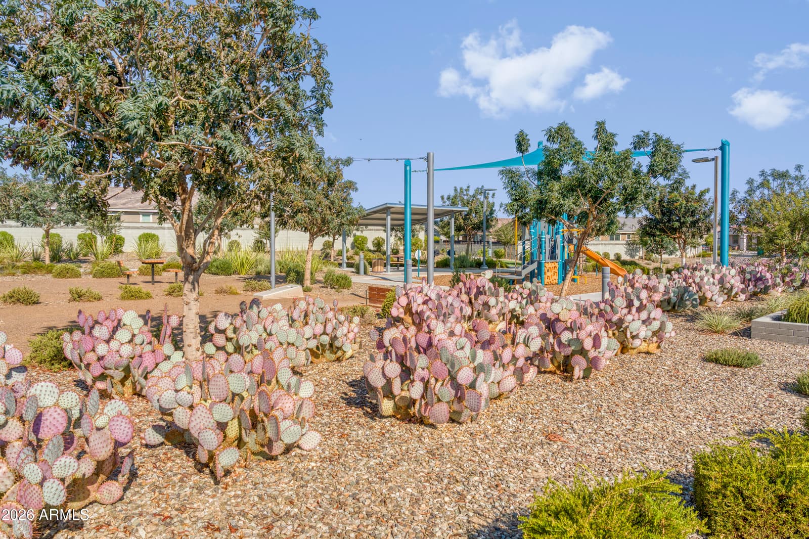 8272 N 170TH Lane, Waddell, AZ 85355 — photo 51 of 52