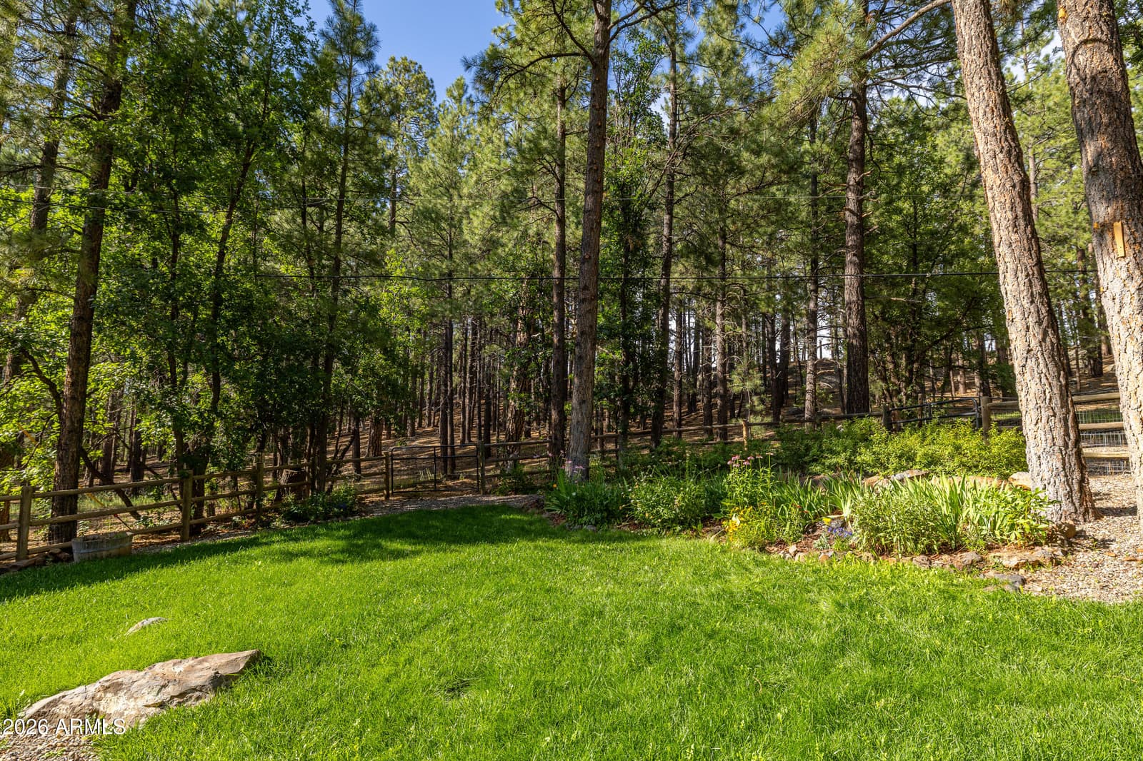 290 N Lodge Drive, Munds Park, AZ 86017 — photo 10 of 30