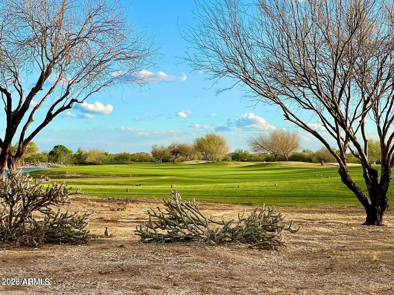 33550 N Dove Lakes Drive Unit 2027, Cave Creek, AZ 85331 — photo 22 of 25