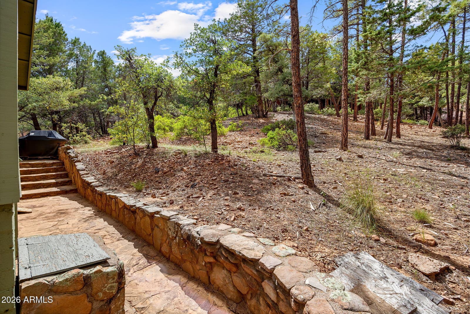 4508 N Chalet Drive, Pine, AZ 85544 — photo 27 of 37
