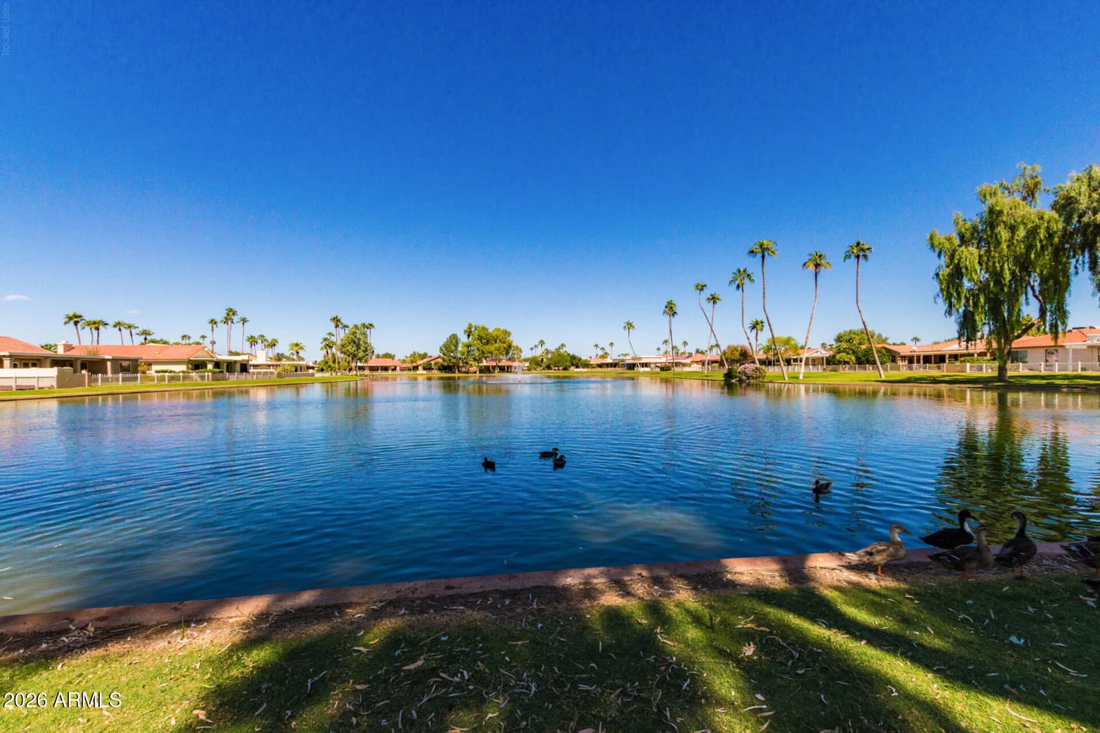 25244 S BERRY BROOK Drive, Sun Lakes, AZ 85248 — photo 44 of 47