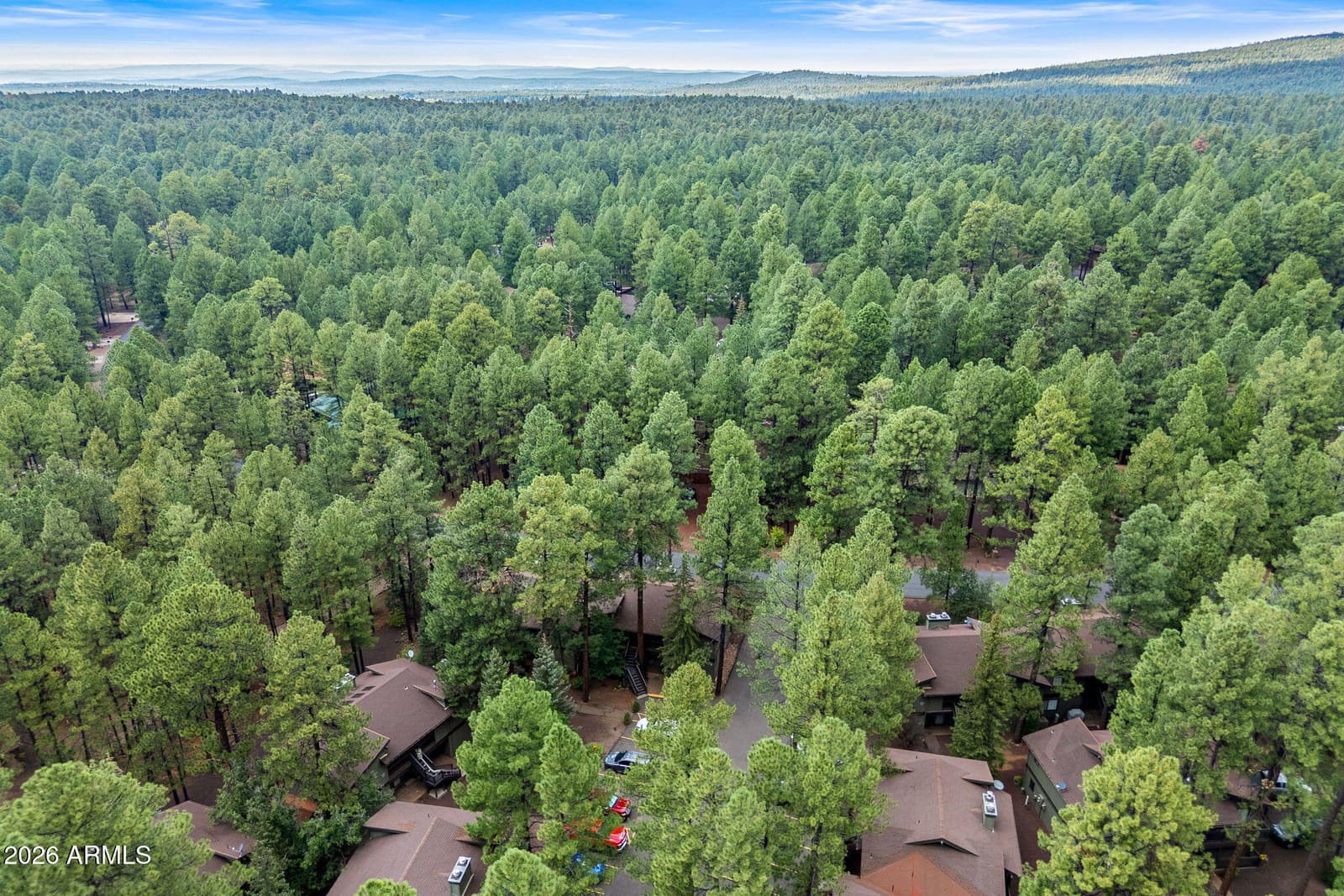 4455 RESORT Loop 24, Pinetop, AZ 85935 — photo 32 of 35