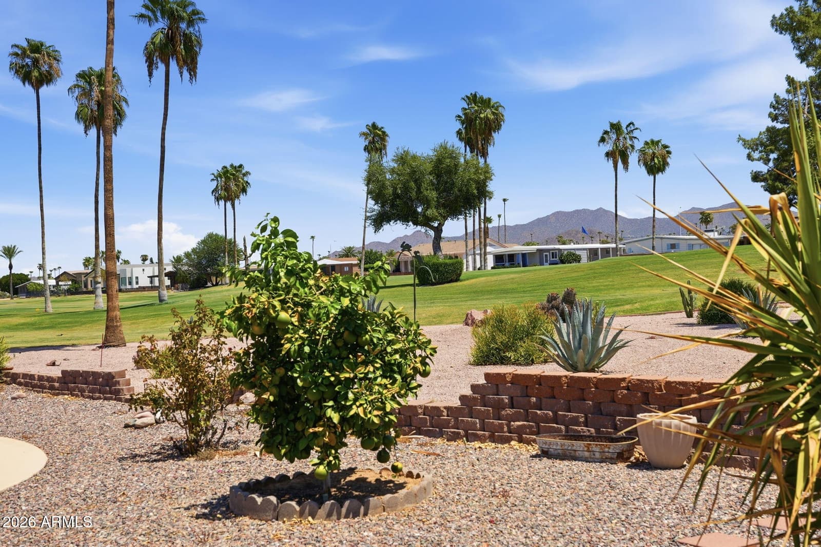 2205 N HIGLEY Road, Mesa, AZ 85215 — photo 18 of 21