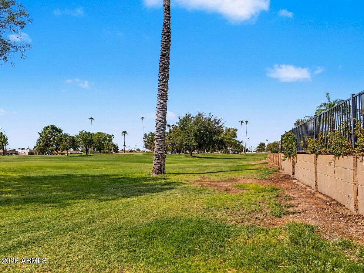 14201 N Cameo Drive, Sun City, AZ 85351 — photo 49 of 67