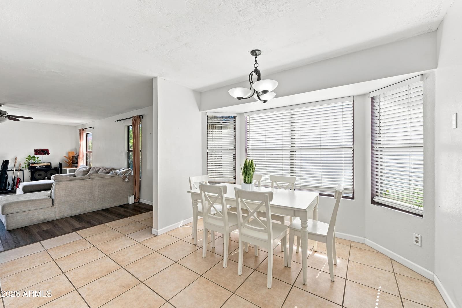 8734 W INDIANOLA Avenue, Phoenix, AZ 85037 — photo 6 of 20