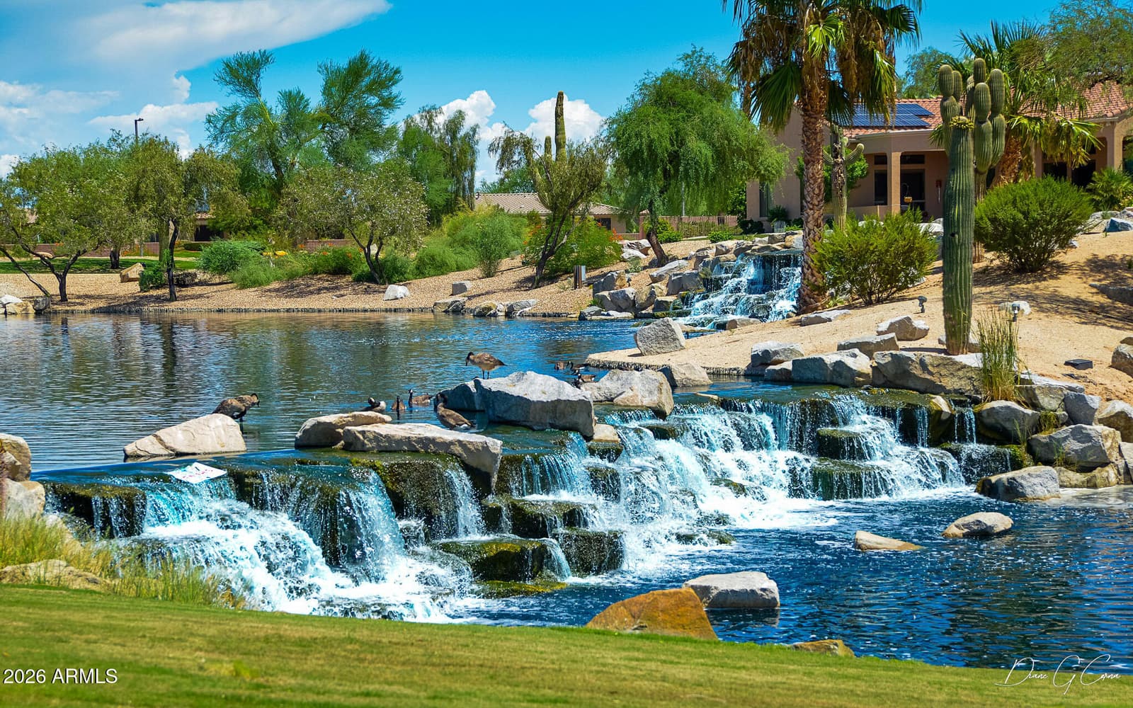 15626 W VISTA GRANDE Lane, Surprise, AZ 85374 — photo 45 of 46
