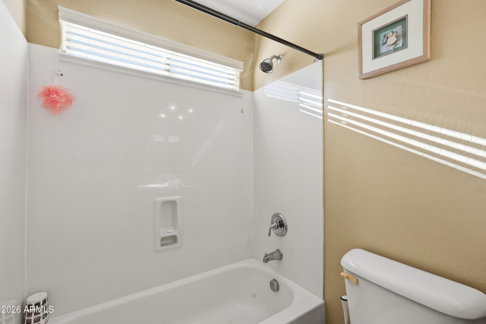 18391 W Port Royale Lane, Surprise, AZ 85388 — photo 31 of 48