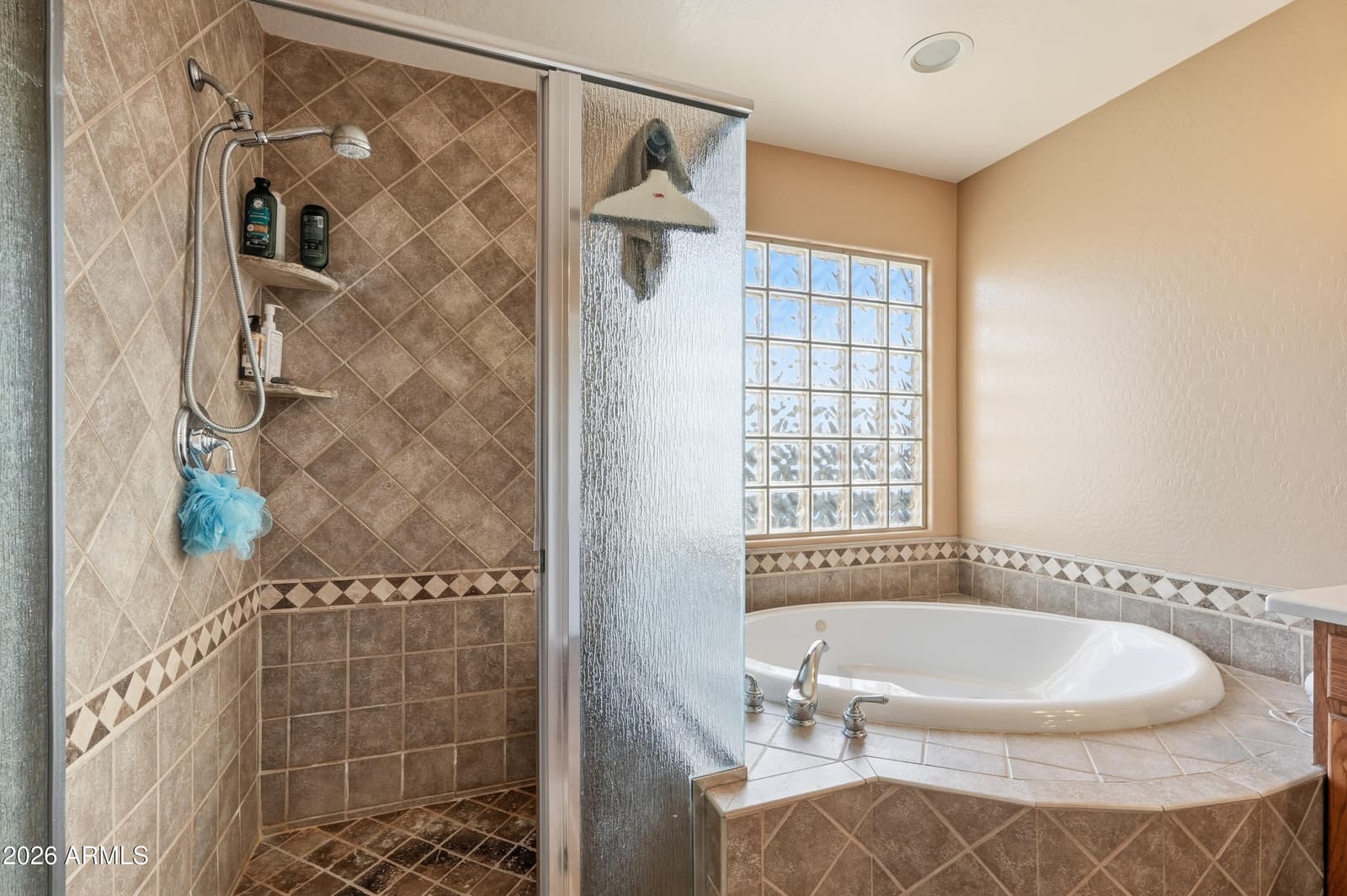 18391 W Port Royale Lane, Surprise, AZ 85388 — photo 37 of 48