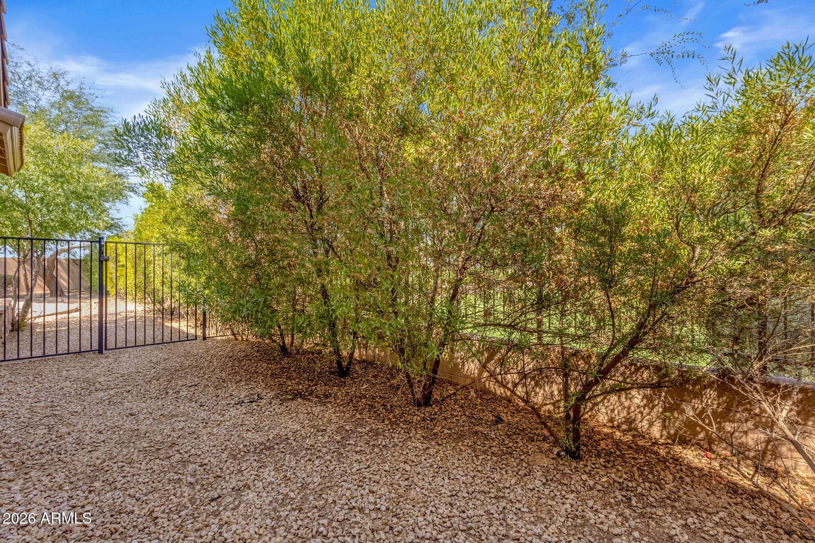 21144 E SADDLE Way, Queen Creek, AZ 85142 — photo 36 of 38