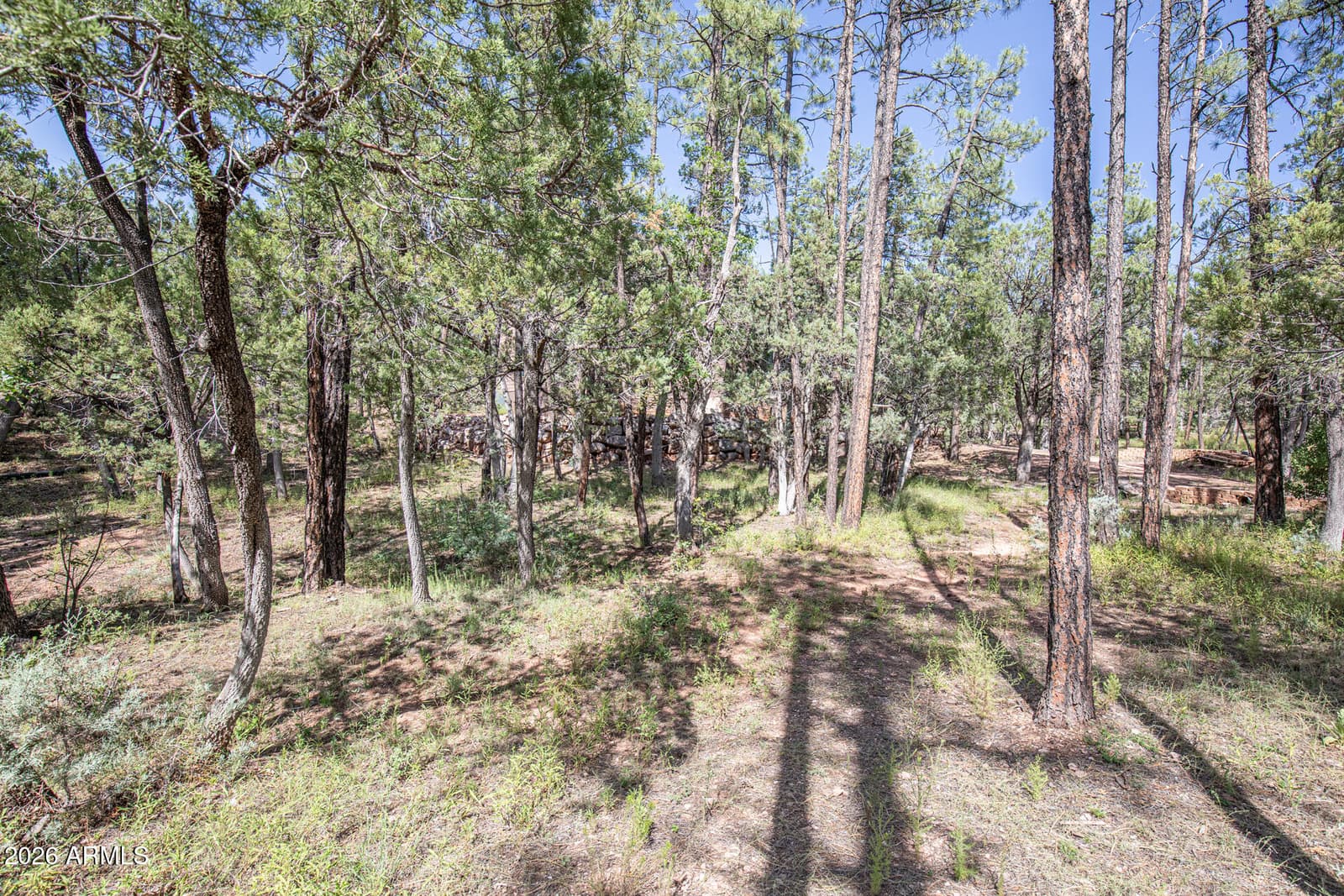 243 N WILD OAK Drive, Payson, AZ 85541 — photo 44 of 47
