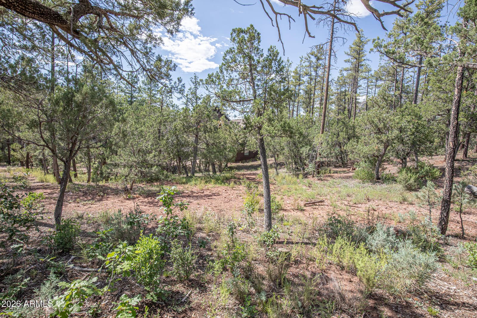 243 N WILD OAK Drive, Payson, AZ 85541 — photo 41 of 47