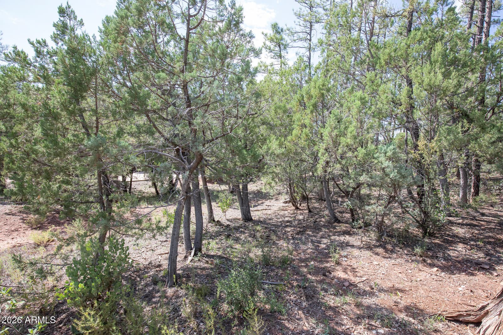243 N WILD OAK Drive, Payson, AZ 85541 — photo 38 of 47