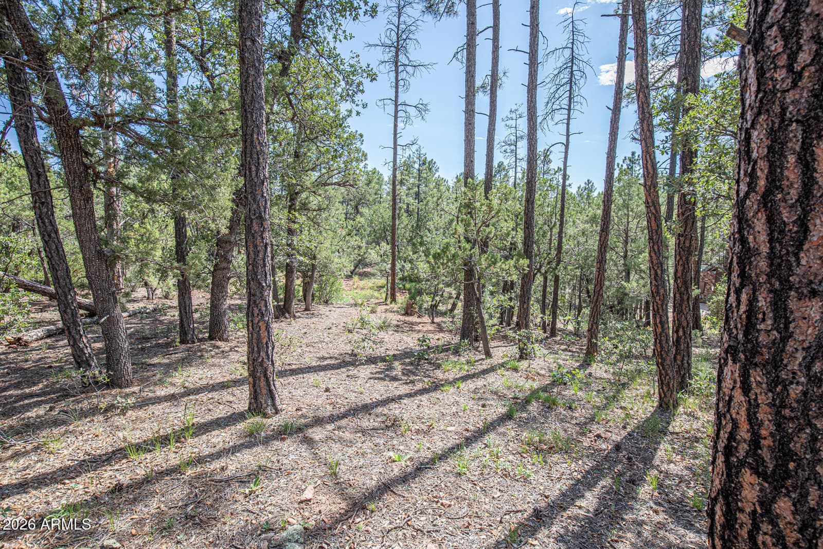 243 N WILD OAK Drive, Payson, AZ 85541 — photo 40 of 47