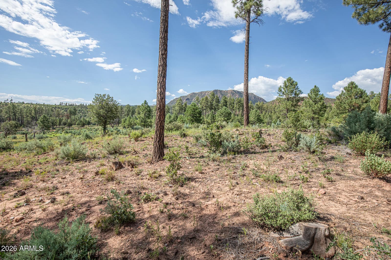 243 N WILD OAK Drive, Payson, AZ 85541 — photo 46 of 47