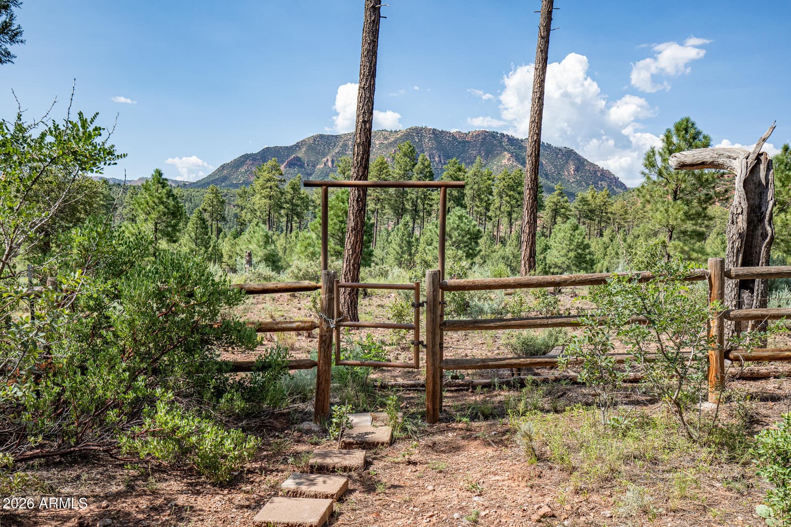 243 N WILD OAK Drive, Payson, AZ 85541 — photo 1 of 47