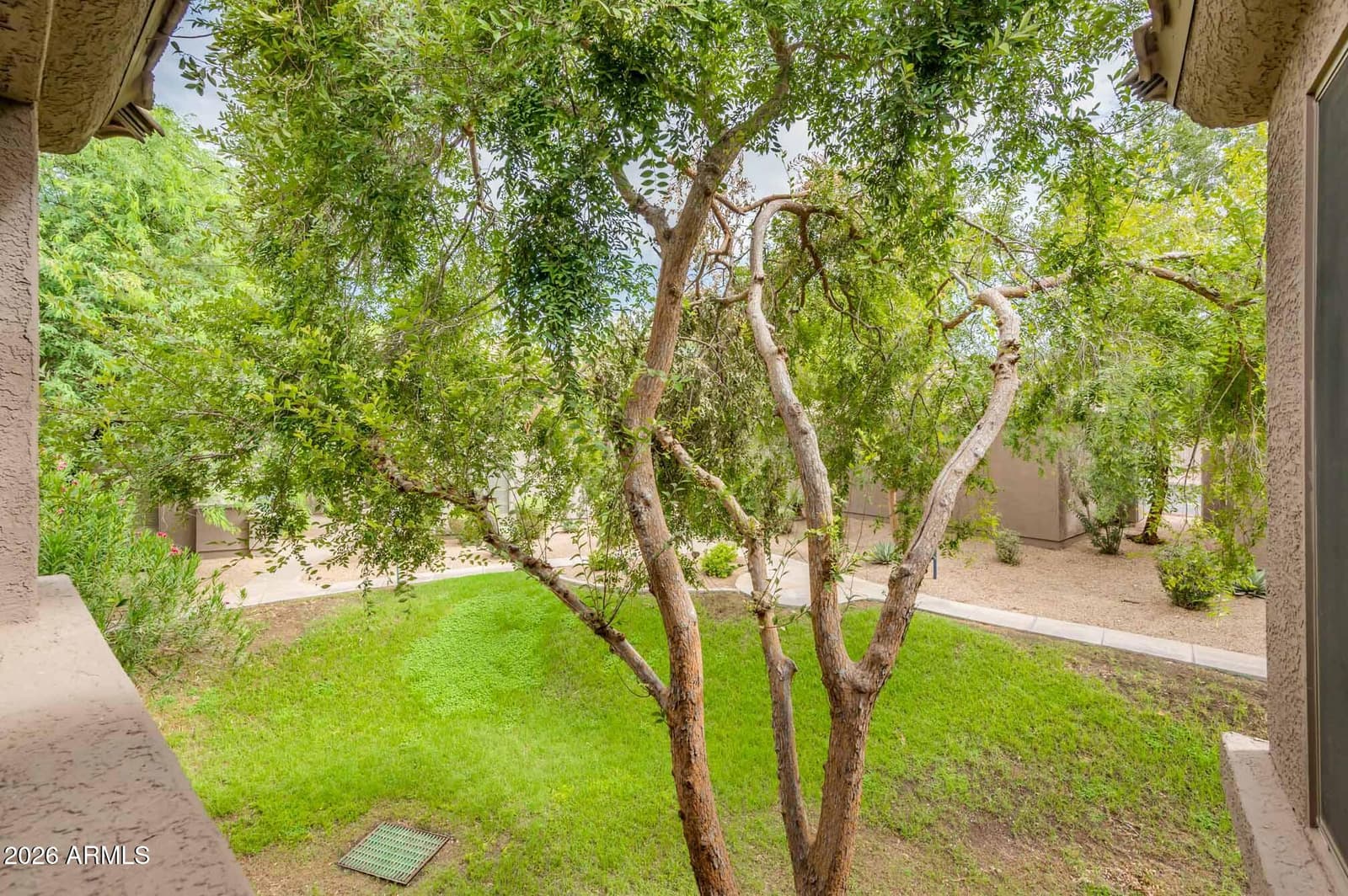 11680 E SAHUARO Drive 2020, Scottsdale, AZ 85259 — photo 32 of 45