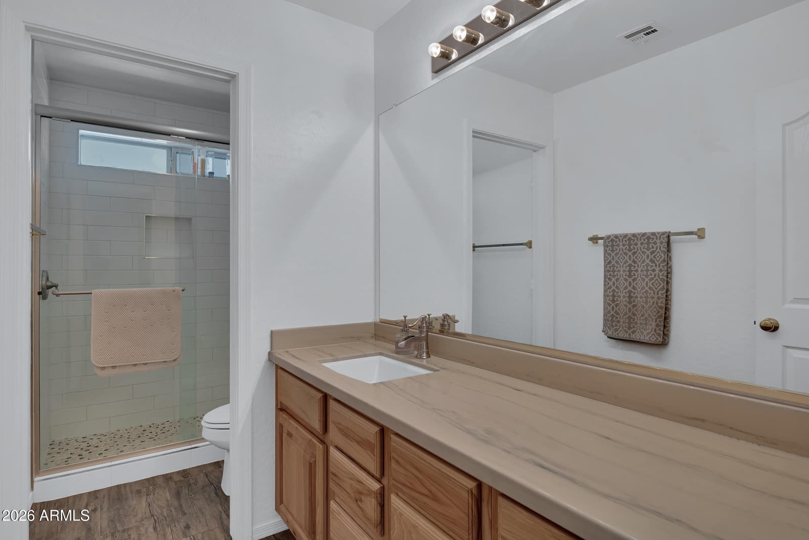 3889 E MEADOW LAND Drive, San Tan Valley, AZ 85140 — photo 27 of 41