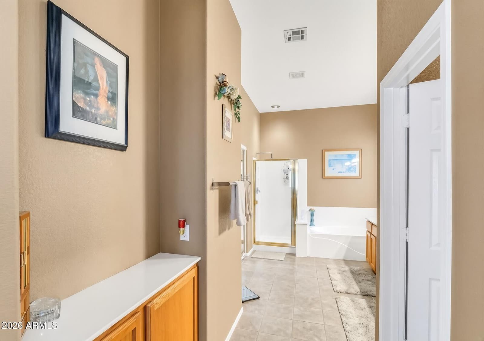 7908 E Plata Avenue, Mesa, AZ 85212 — photo 19 of 41