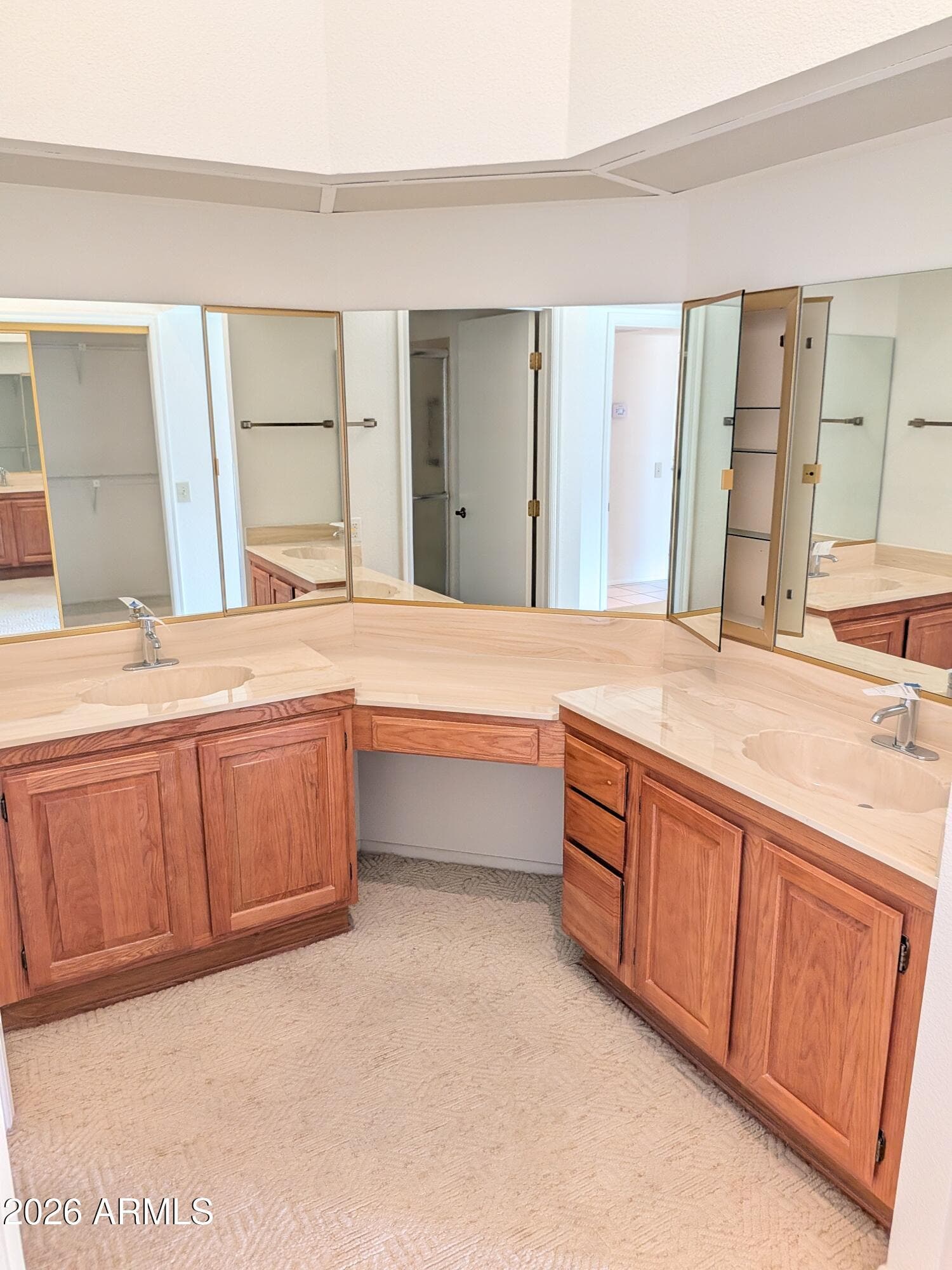 13047 W PEACH BLOSSOM Drive, Sun City West, AZ 85375 — photo 19 of 31