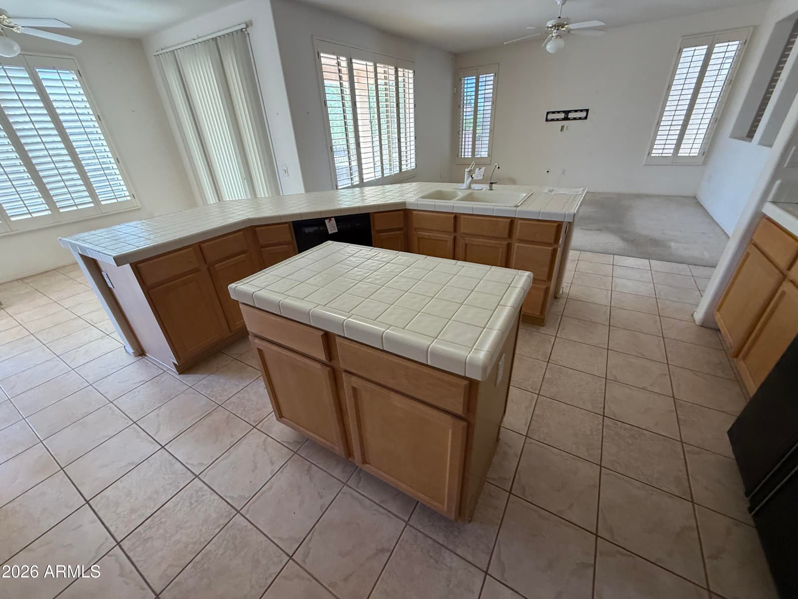 20123 N PAINTED SKY Drive, Surprise, AZ 85374 — photo 7 of 21