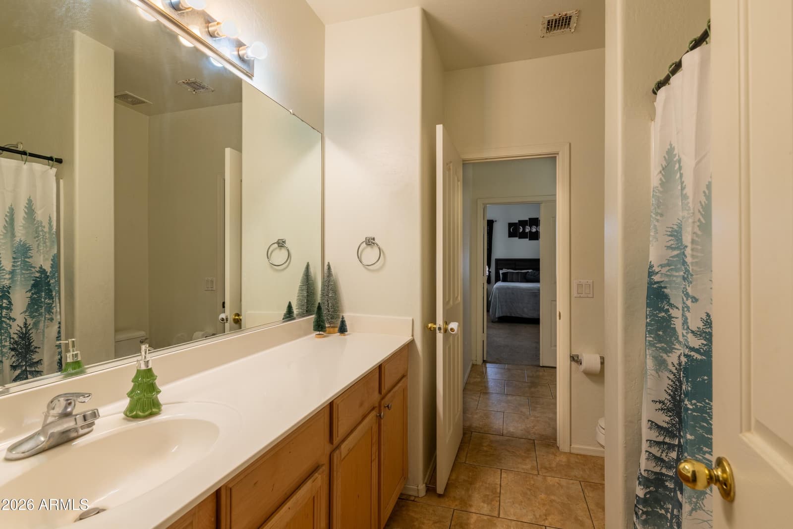 24727 W DOVE Lane, Buckeye, AZ 85326 — photo 10 of 13