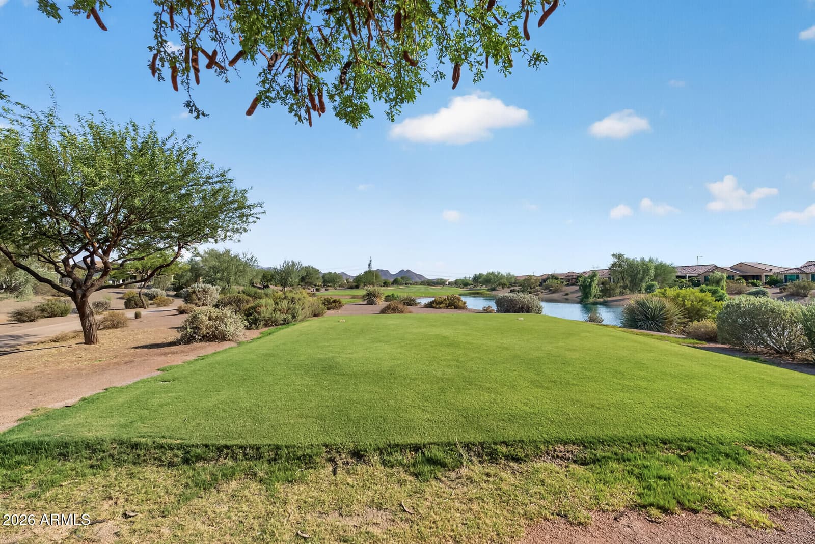 21516 N 262ND Lane, Buckeye, AZ 85396 — photo 56 of 90
