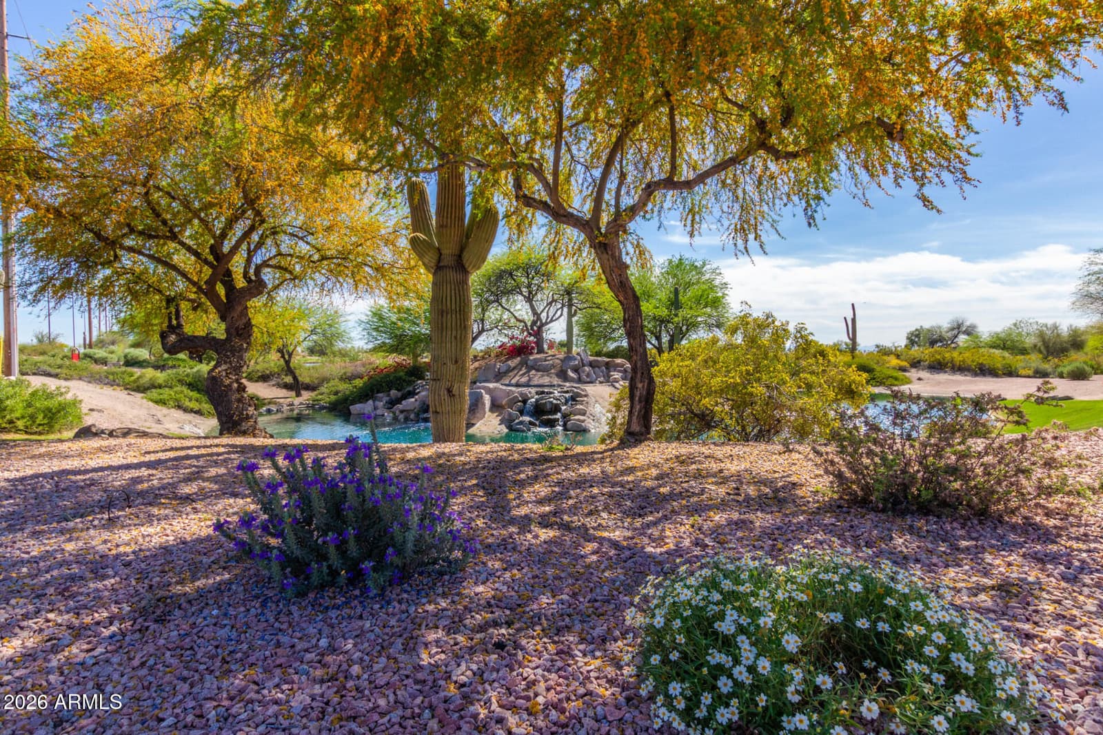 6446 E Trailridge Circle 45, Mesa, AZ 85215 — photo 81 of 104