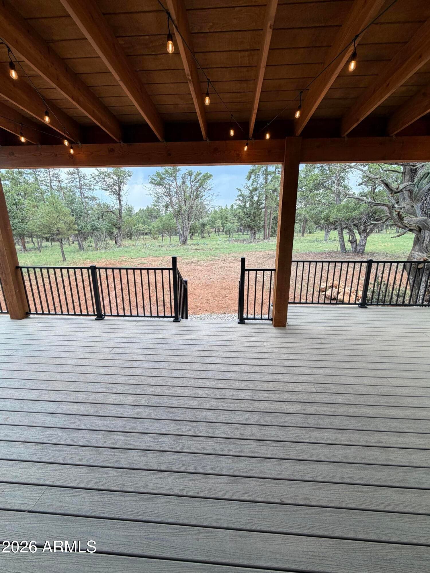 4322 DURANGO Drive, Happy Jack, AZ 86024 — photo 4 of 4