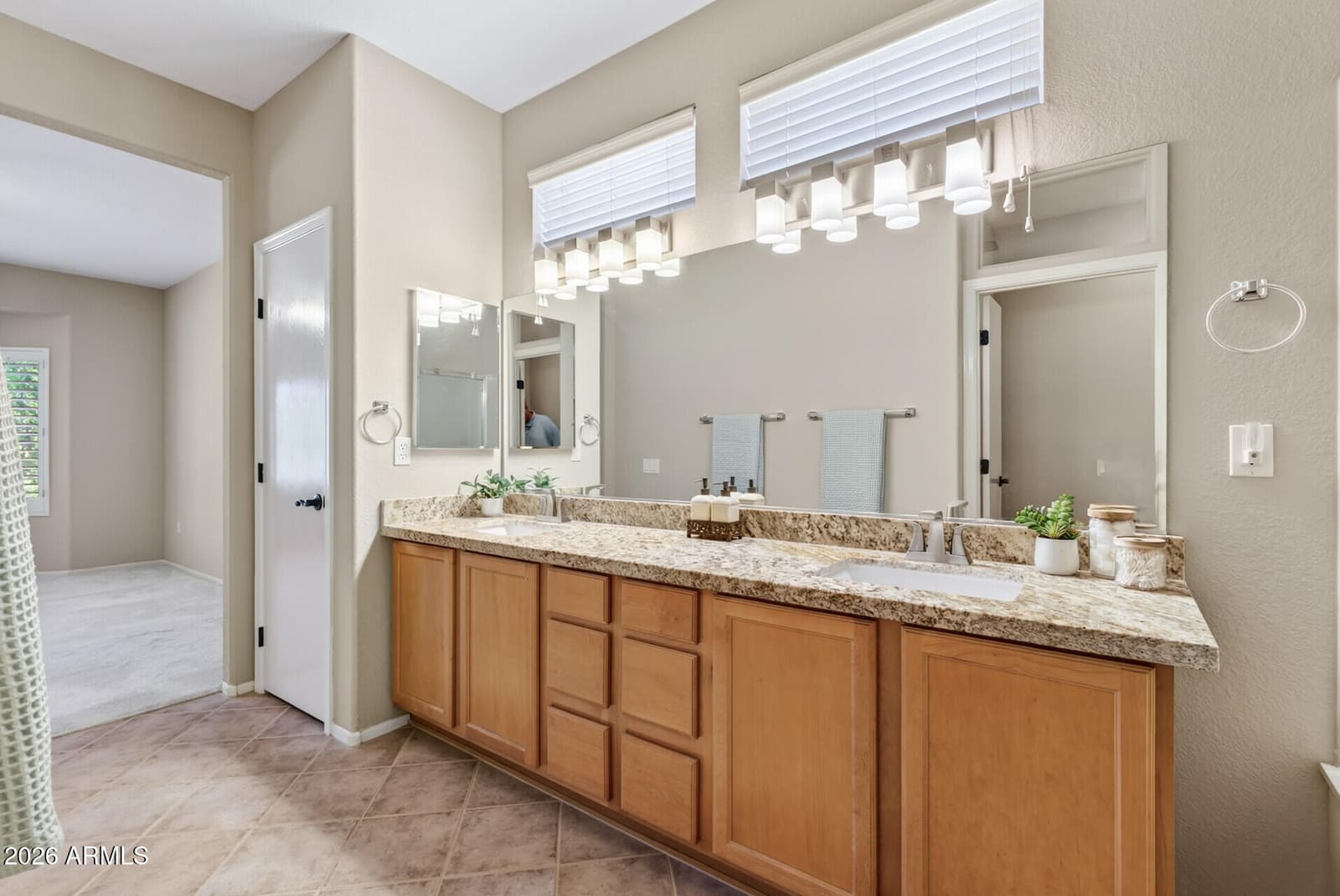 16190 W RED ROCK Drive, Surprise, AZ 85374 — photo 19 of 67
