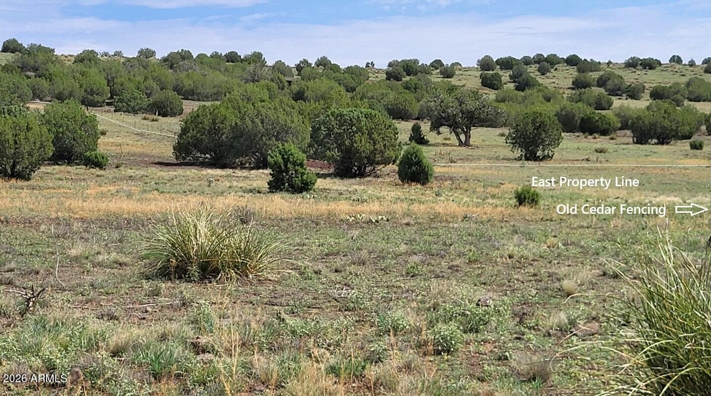 50400 N Starship Trail, Ash Fork, AZ 86320 — photo 15 of 24