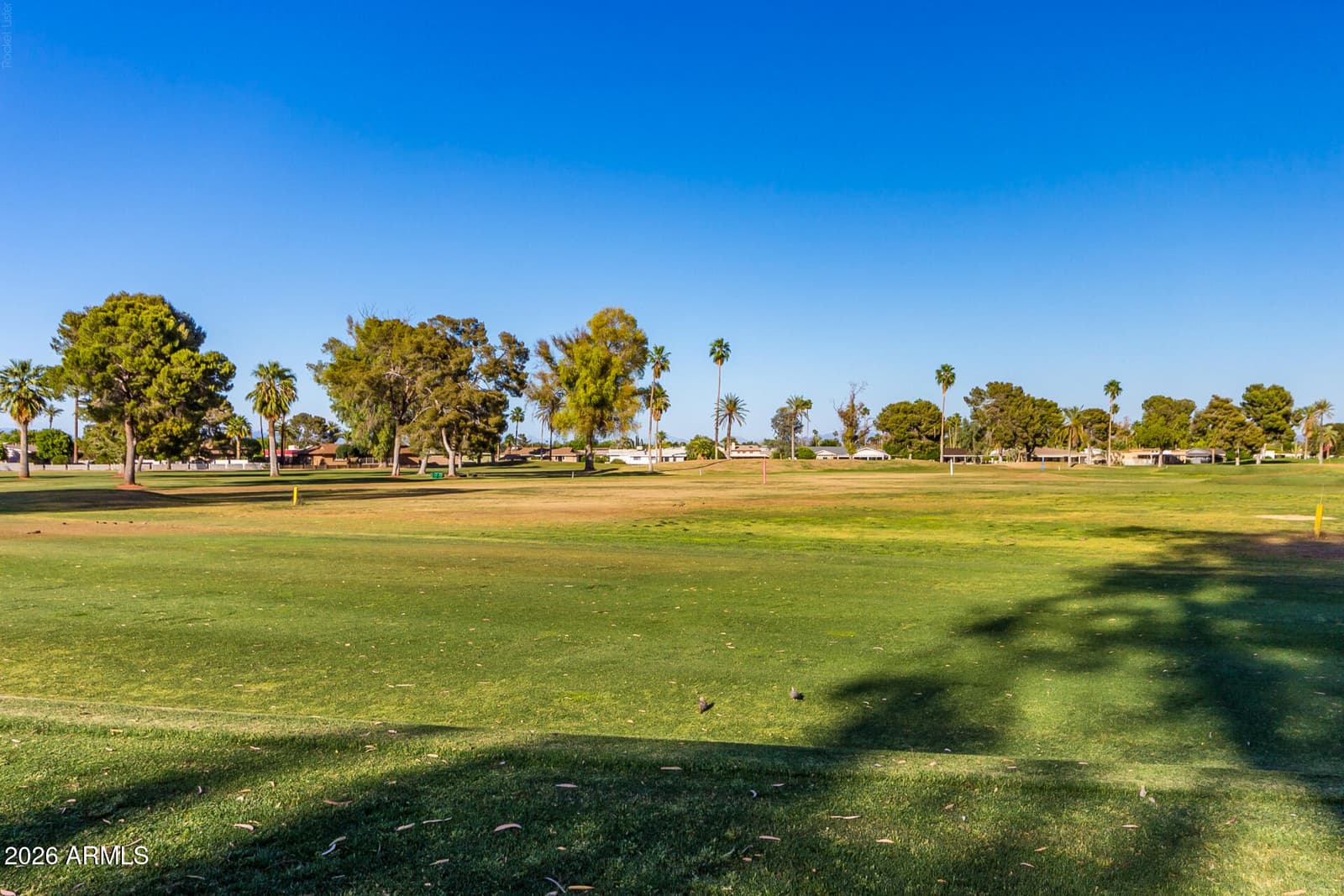 10255 N 101ST Avenue, Sun City, AZ 85351 — photo 40 of 52