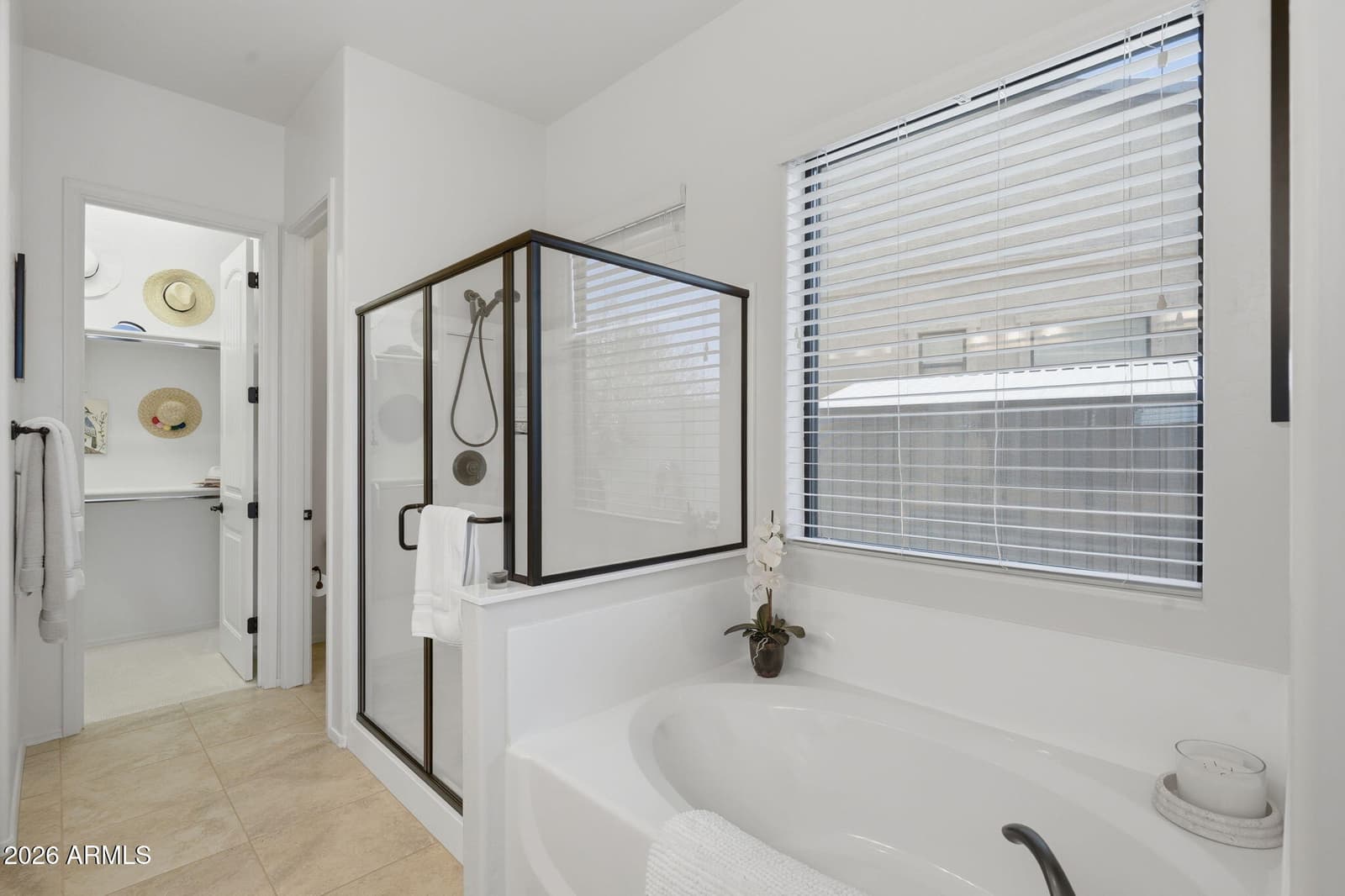 9143 E KRAMER Street, Mesa, AZ 85207 — photo 20 of 42