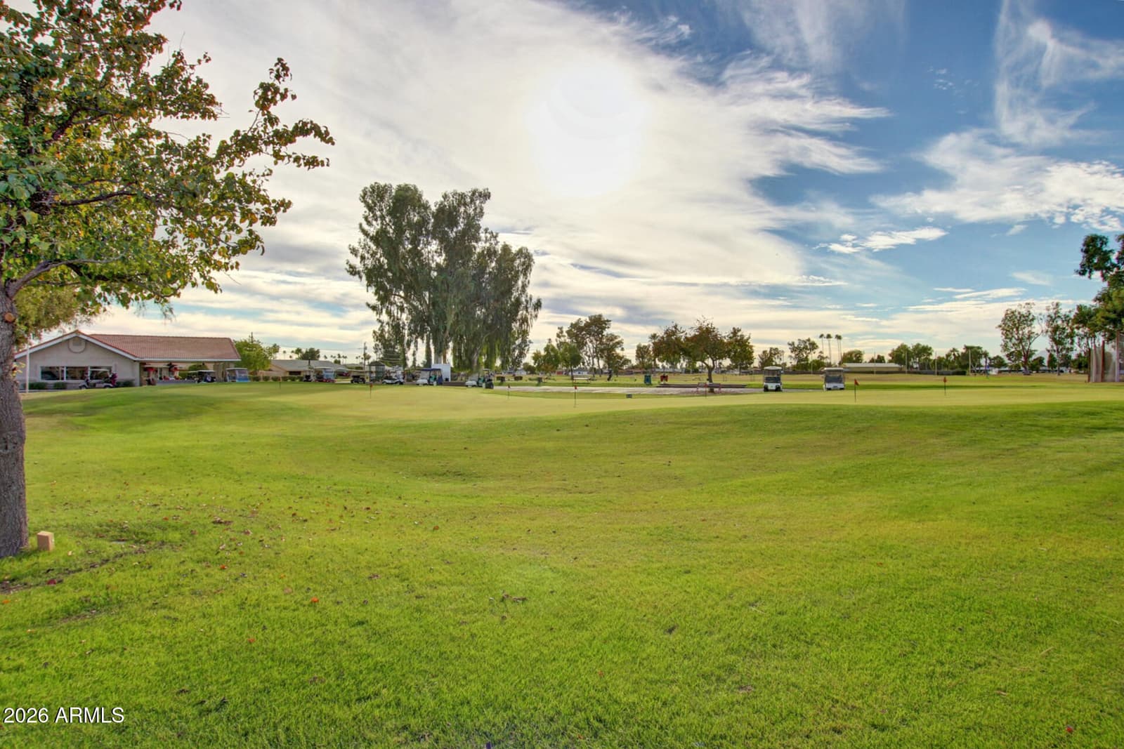 10619 W COGGINS Drive, Sun City, AZ 85351 — photo 28 of 29
