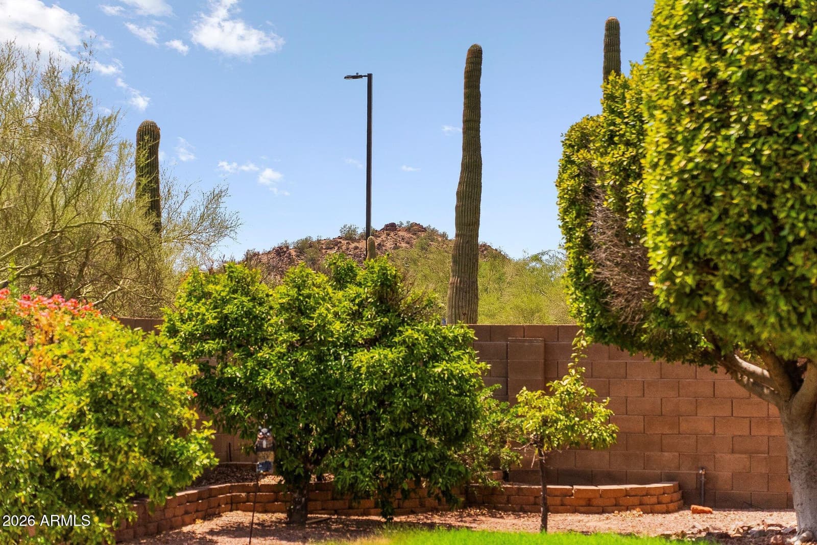 9513 E KNOLL Circle, Mesa, AZ 85207 — photo 29 of 38